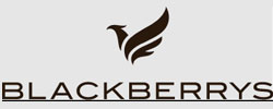 Blackberrys -  Coupons and Offers