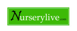 Buy 2 Plants and Get 1 Plant FREE at NurseryLive