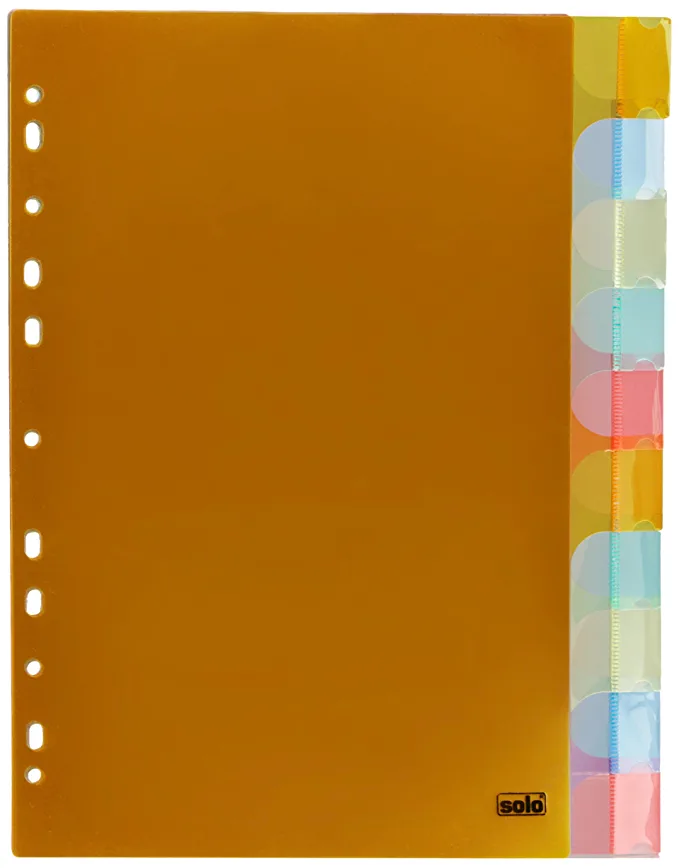 Solo SP 110 Separator/Divider (Set of 10) A4 - Multi-Color,