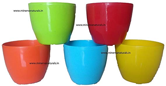GARDENS NEED Cool Pot (13cm, Pack of 5, Multicolour)