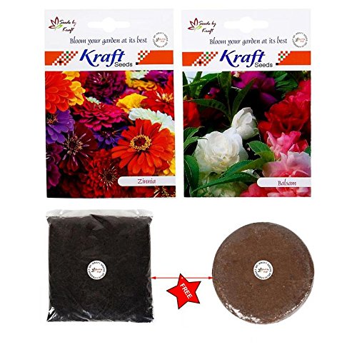 Zinnia and Balsam Flower Seeds with Free 200 gm Organic Manure & Agropeat 100 gm By Kraft Seeds