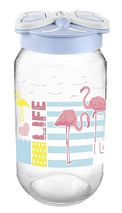 Signoraware Store Fresh Jar Glass with Handle (Multicolor, 660 ML)
