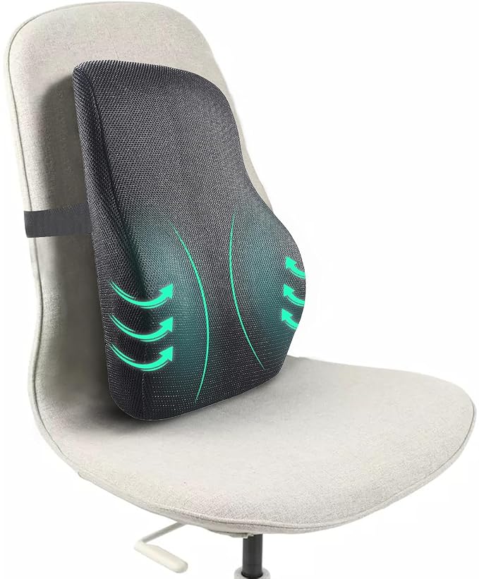 Sleepsia Lumbar Support Memory Foam Orthopedic Back Cushion  -  Back Rest Cushion for Car, Chair and Office Chair (17.5" L× 15.5" W × 5.5" H) Black