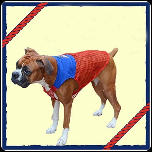 Kitty & The Woof Gang Red Net T-Shirt - Jersey Made of Stretchable and Soft Material with Blue top with a Patch for Dog, Cat and Puppies | Please Check The Size Chart Before Ordering | Size S