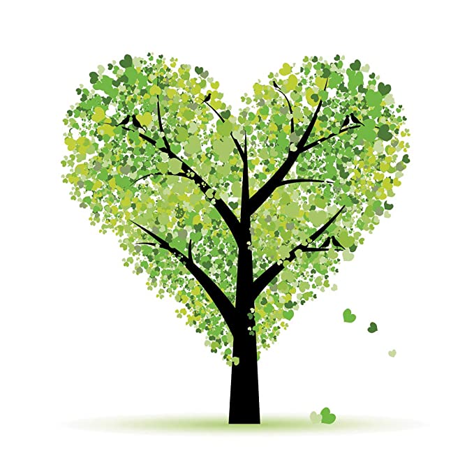 Rangoli Vinyl Modern Art Wall Sticker 1.96 x 20.86 x 1.96 Inches, Multicolour (Model Number: Modern Art563), Botanical