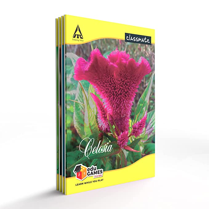 Classmate Notebook - Single Line, 72 Pages, 240 mm x 180 mm - Pack Of 4