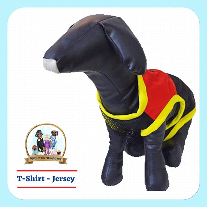 Kitty & The Woof Gang Blue and Beige Check with Blue Faux Leather top | Ribbed All Around | Party Dress for Small Medium Large Dog, cat & Puppies Female Male | Size S