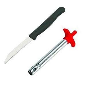 DeoDap Kitchen Stainless Steel LP Gas Lighter & Kitchen Knife (2pcs,Multicolor)