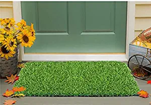 Status Contract Grass Mat for Balcony Decor|(16"x24") Artificial Grass Outdoor Mat Fairy Garden|Green Lawn Floor Carpet Living Room|Home and Kitchen Floor Mat|Outdoor Carpet Waterproof (Natural Green)