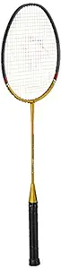 Triumph Bolt Graphite Composite Light Weight Strung Badminton Racket with Cosmic-6R Double Compartment Badminton Bag Sky/Grey
