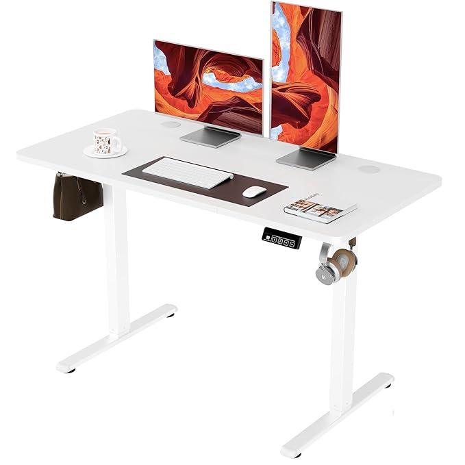 ERGOMAKER Electric Standing Desk 120x60cm (47.2"x23.6"), Height Adjustable Sit Stand Desk with Splice Board for Home Office, Computer Desk Memory Preset (White Frame + White Desktop)