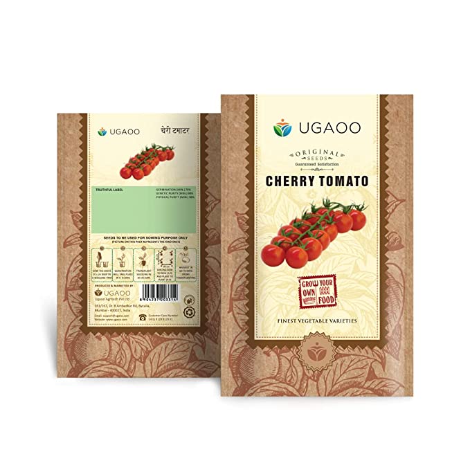 UGAOO Cherry Tomato Vegetable Seeds (Red, Pack of 200mg, 50 Seeds)