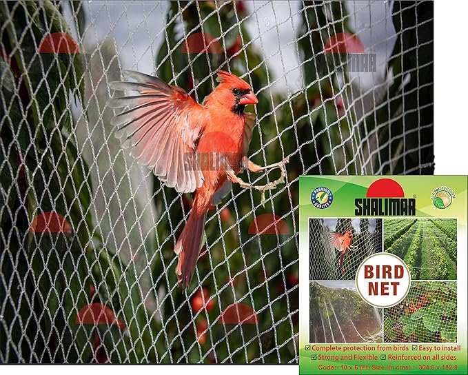 Shalimar Bird Net/Anti Bird Net/Pigeon Net/Garden Net/Bird Control Net Uv Stabilised Hdpe Monofilament Netting Solution (10 X 06),White