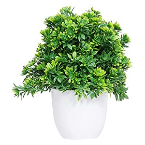 Dekorly Tiny Home Decorative Colorful Flowers Fake Plants - Real Looking Mini Cute Flowers with Pot (Height - 15cms) (Green)