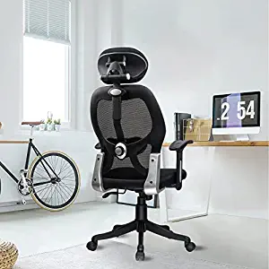 Green Soul New York Go Office Chair, High Back Mesh Ergonomic Home Office Desk Chair with 2D Adjustable Headrest & Lumbar Support, Knee-Tilt Mechanism & Strong Nylon Base