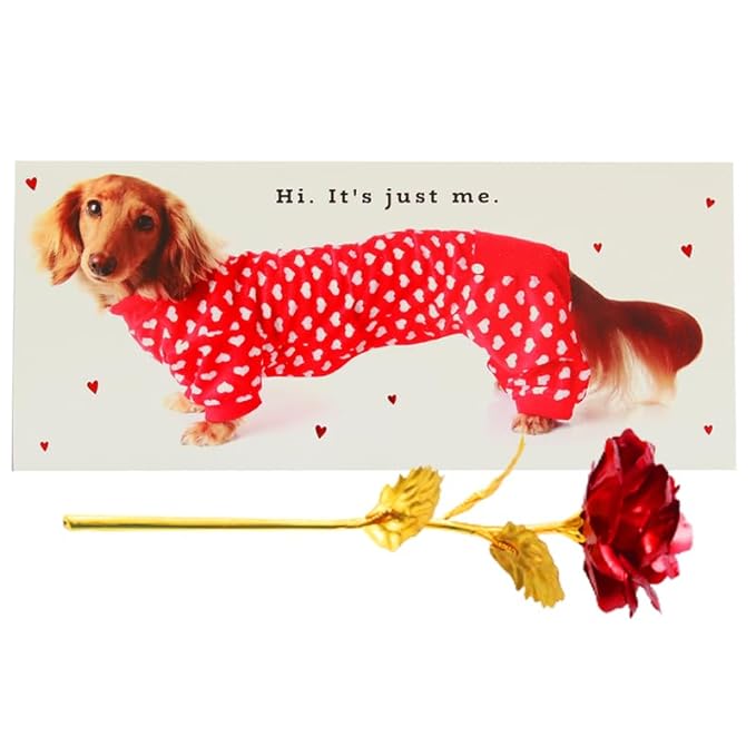 ARCHIES Valentine Day Someone Special Red Rose & Card Gift for Girlfriend, Boyfriend, Lover, Couples, Husband, Wife VLRR57