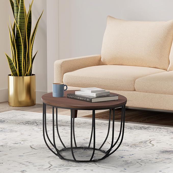 Amazon Brand - Solimo Antares Rose Wood Coffee Table with Metal Base (Walnut and Black)
