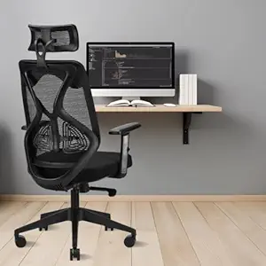 IAFA FURNITURE Ergolux Ergonomic Premium Office Chair | Mesh Desk Chair with Adjustable Armrests & Lumbar Support | Tilt Lock Mechanism | Breathable Fabric | Comfortable & Stylish (Black)