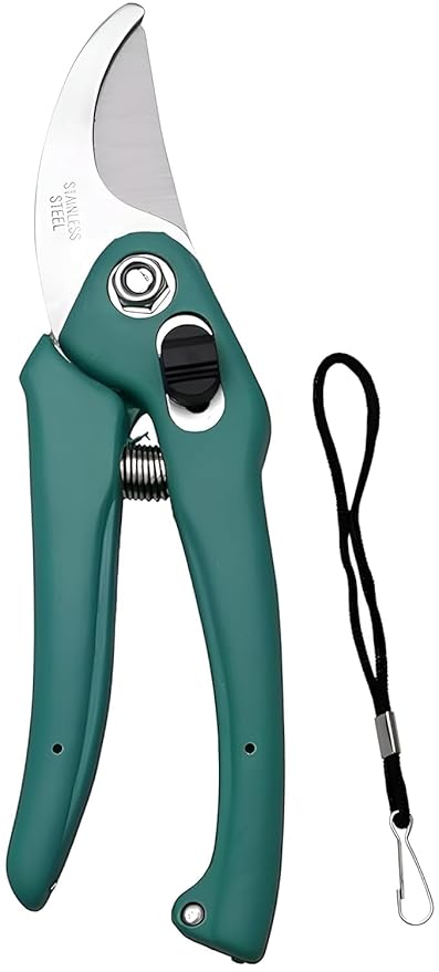 PLANETXERO Hand Pruner Cutter - 1 Pc, Heavy Duty Gardening Tools Grass Cutter, Plant Cutter for Home Garden, Wood Branch Trimmer, Garden Tools Grass Cutting Accessories (Steel Blades, Assorted)