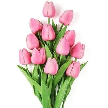 ZENEBULAA - Hybrid Tulips Flower bulbs Seed (Pack Of -1) Flower Bulbs For planting Home Gardening Thai Rare Variety