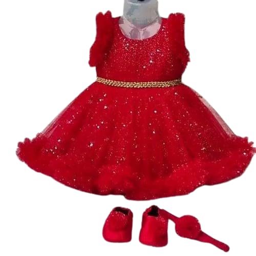 Baby Girls Fit & Flare Net Frock Dress