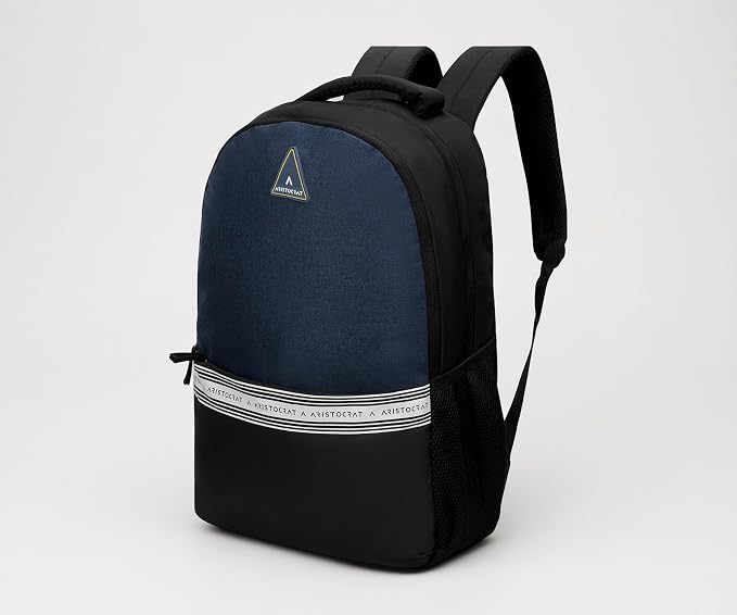 Aristocrat Blake 18L Laptop Backpack (Upto 15.6"),2 Compartments,Blue-Black