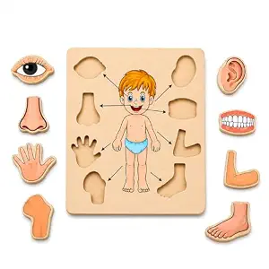 Body Part Puzzle Kids Wooden Toys for Kids 3 + Jigsaw Puzzles for Adults Baby Learning Toys Educational Toys Game for Learning Human Body Parts Anatomy Skeleton - Gift Toys for Boy and Girl