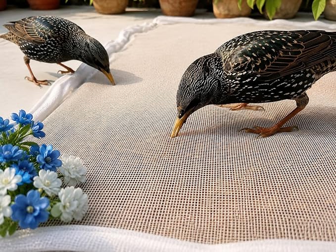 Mesh Food Drying Cover Net with Zipper Closure for Grain Drying, White Protective Mesh Cover for Terrace, Balcony and Outdoor Drying (28 X 38 INCHES)
