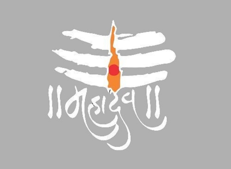 From ₹59 Wall Stickers