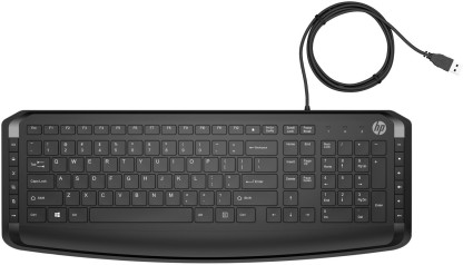 HP Pavilion Keyboard and Mouse 200 Wired USB Laptop Keyboard  (Black)