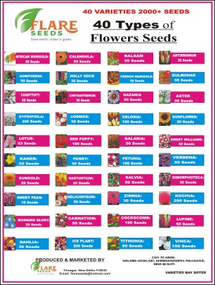 FLARE SEEDS Flowers Seeds Combo 40 Types Of Different Seeds Seed  (50 per packet)