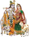 god & god's Cow With Radha Krishna Modern Art 166 Medium Self Adhesive Sticker  (Pack of 1)