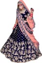 Embroidered Semi Stitched Lehenga Choli  (Dark Blue)