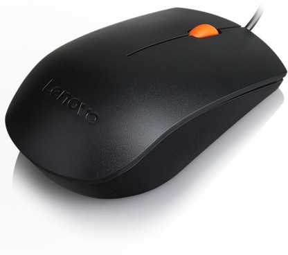Lenovo KB MICE_BO 300 USB Mouse Wired Optical Mouse  (USB 2.0, Black)