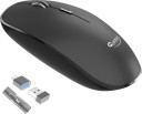 QUANTUM QHM260 with USB Nano Receiver & USB to Type-C Connector, 1600 DPI, 2.4 GHz Wireless Optical Mouse  (2.4GHz Wireless, Black)