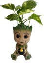 The Craft Store Baby Groot Avengers Multipurpose action Figure 5.5 inch  (Green)