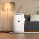 Sharp Dehumidifier DW-P10M-W with PlasmaCluster" Ion Technology, Laundry Mode Portable Room Air Purifier  (White)