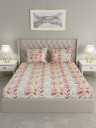 Raymond Home 104 TC Cotton Double Abstract Flat Bedsheet  (Pack of 1, Peach)