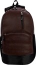 Medium 30 L Laptop Backpack ANTI THEFT FAUX LEATHER  (Brown)