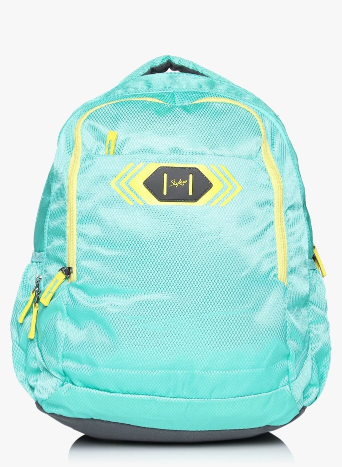 Medium 30 L Backpack Backpacks  (Blue)