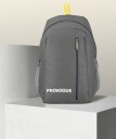Medium 25 L Backpack DAYPACK Small Bags Backpack for daily use library office outdoor hiking Backpack  (Grey)