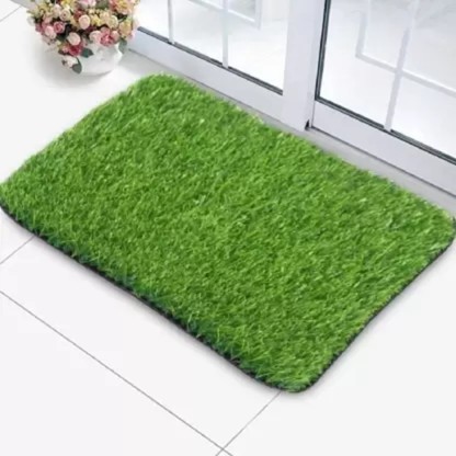 Worthful Creations Green Polypropylene Area Rug  (37 cm,  X 57 cm, Rectangle)