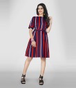 Women Fit and Flare Multicolor Dress