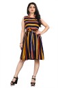 Women Fit and Flare Multicolor Dress