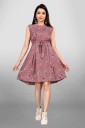 Women Fit and Flare Pink Dress