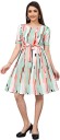 Women Skater Multicolor Dress
