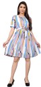 Women Skater Multicolor Dress
