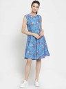 Women Fit and Flare Multicolor Dress
