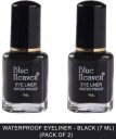 BLUE HEAVEN Fast Moving Water Proof Regular Eyeliner - Black 14 ml  (Black)
