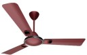 CROMPTON HS Markle Prime 1200 mm Anti Dust 3 Blade Ceiling Fan  (Red Velvet, Pack of 1)
